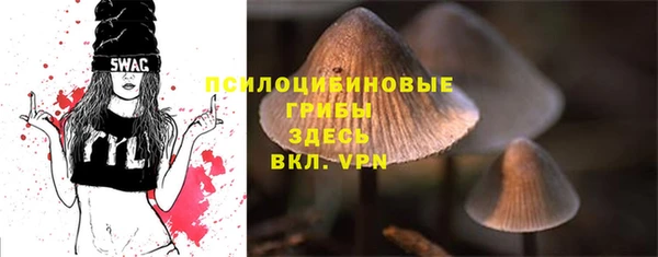 шишки Балабаново