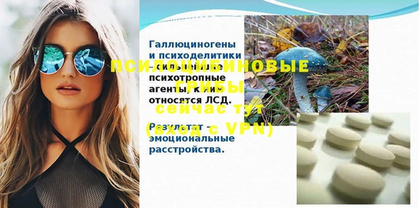 спайс Баксан