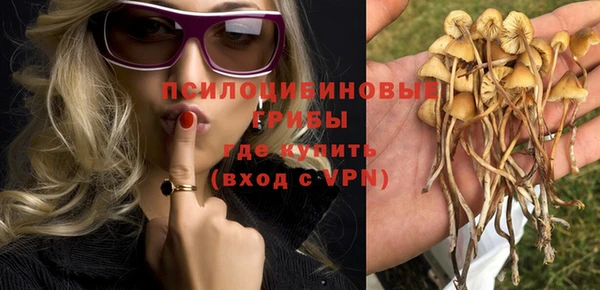спайс Баксан