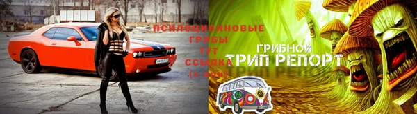 бошки Балахна