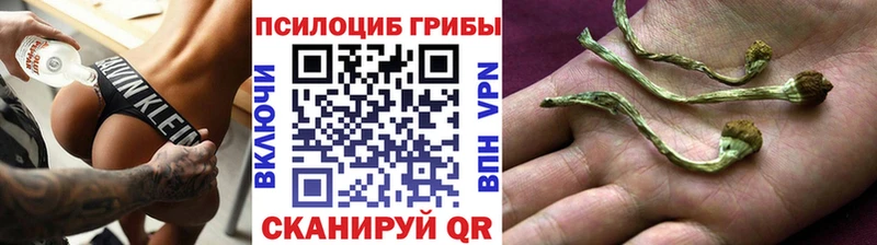 Галлюциногенные грибы Psilocybe  наркошоп  Уяр 